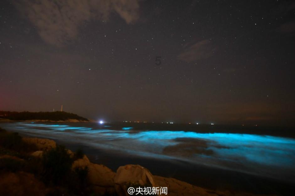 塔科马